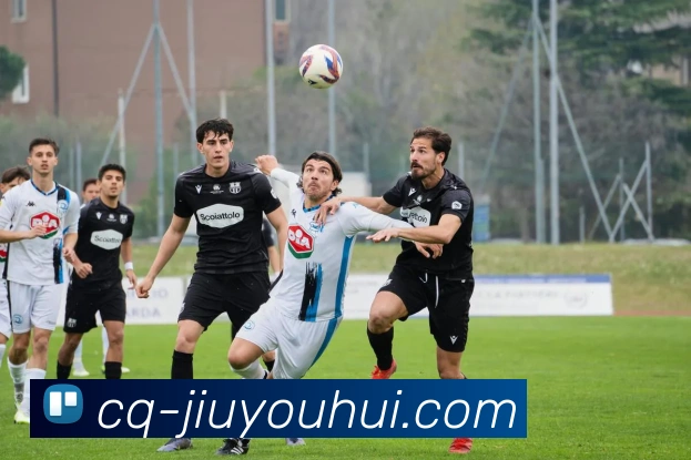 九游会官网服务体系